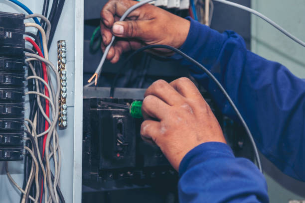 Best Electric Panel Repair  in Galeville, NY